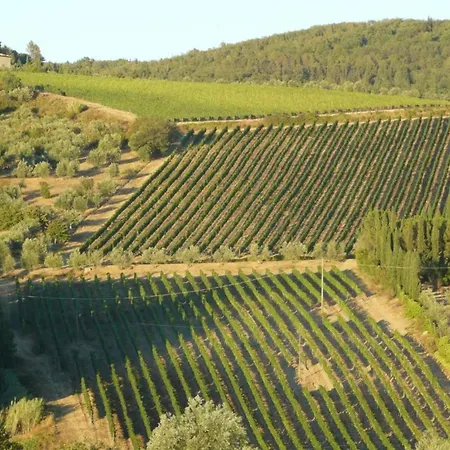 Belvilla By Oyo Il Camino Feriehus